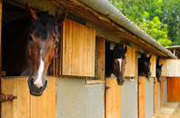 free Horsey Corner stable construction quotes